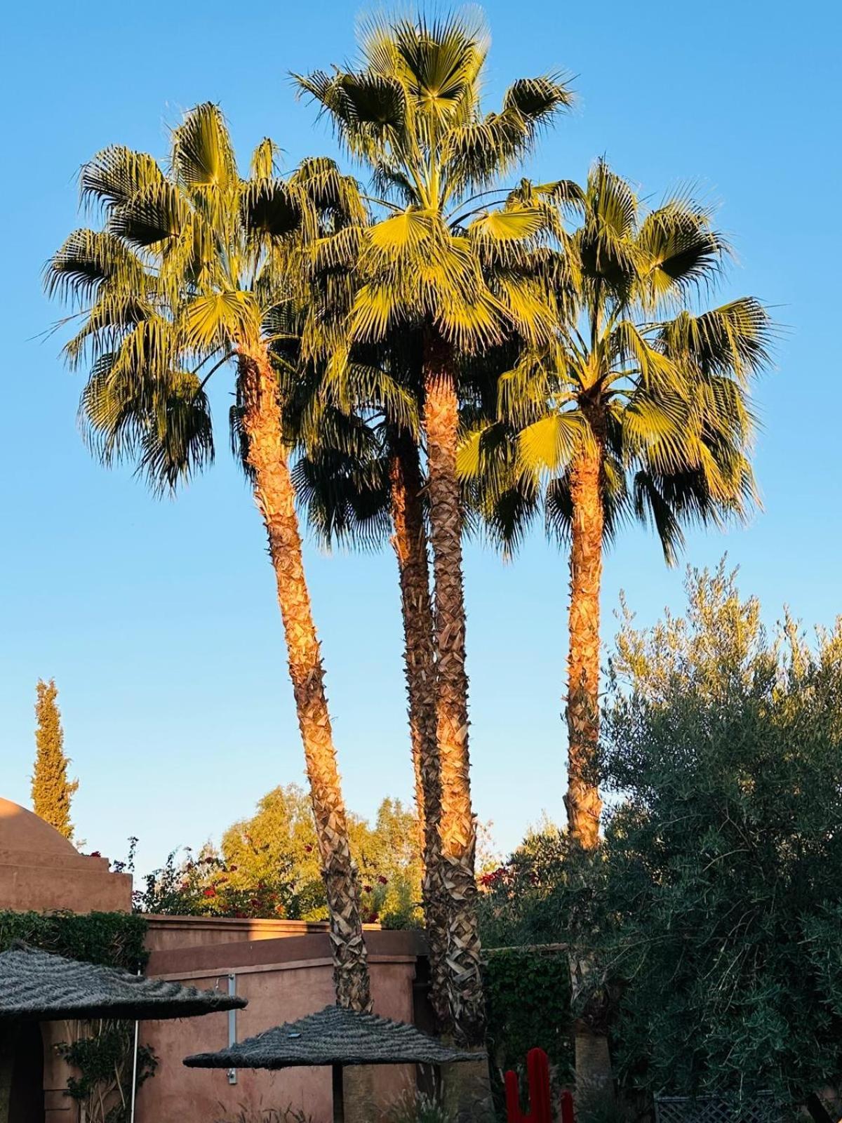 Villa Magtafa Marrakesh Exterior photo